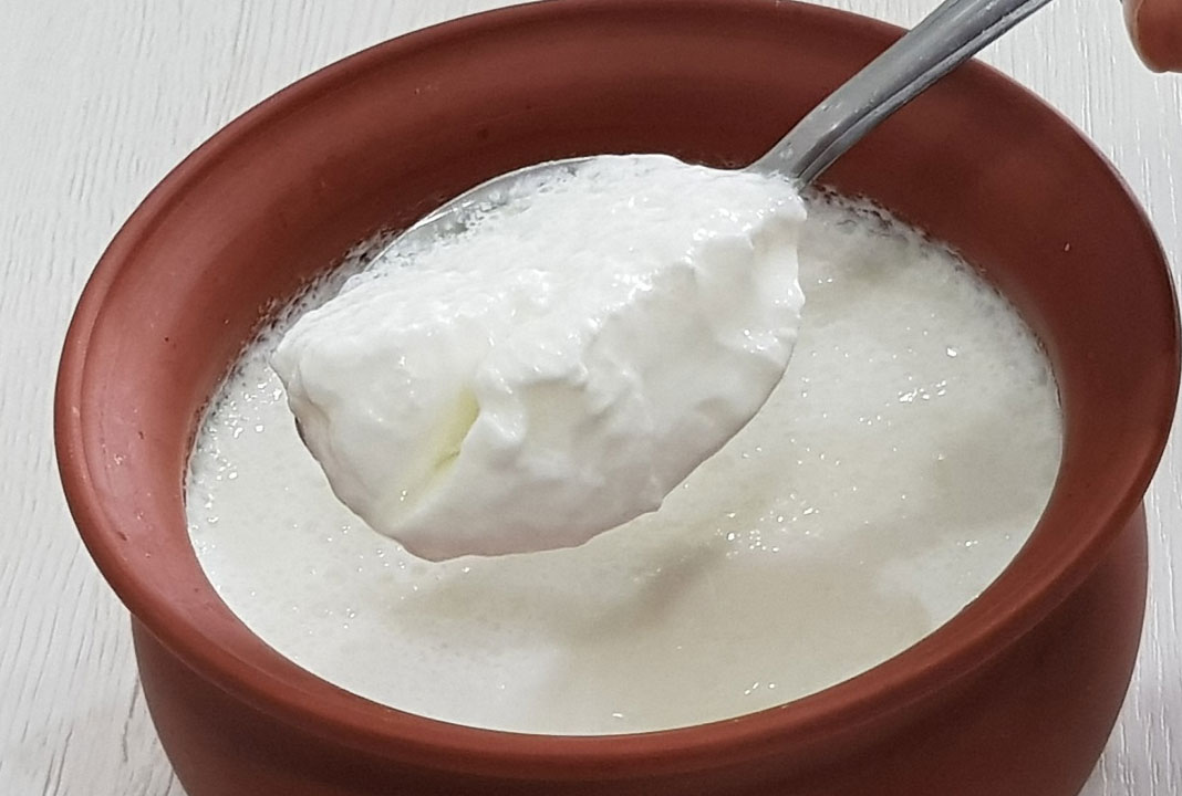 health benefits of eating curd