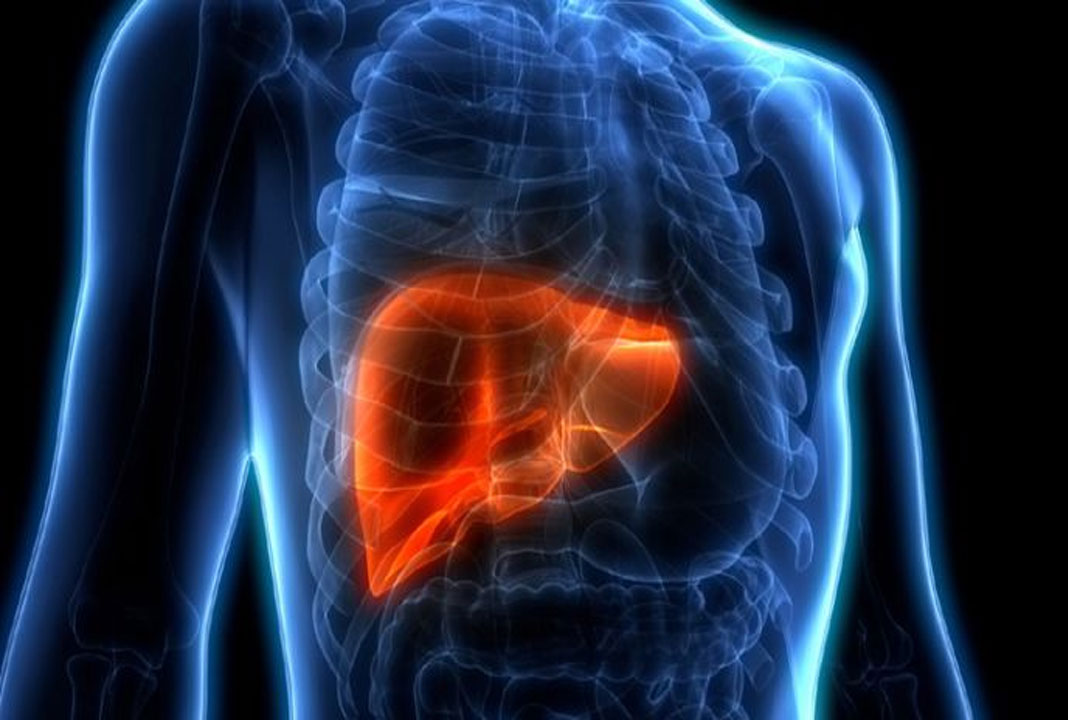 10 foods that keep liver healthy