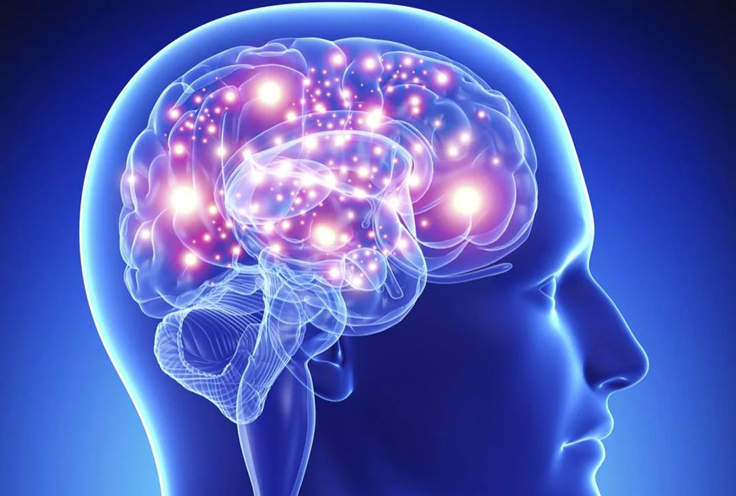 7 foods that improve the health of brain
