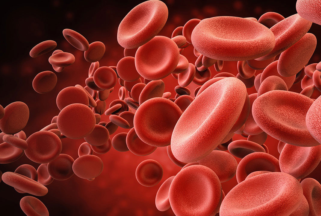 take these foods to increase platelets