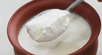 పెరుగును రోజూ ఈ స‌మ‌యంలో తింటే ఆరోగ్య‌క‌ర‌మైన ప్ర‌యోజ‌నాలు క‌లుగుతాయి..!