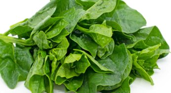 Bachali Kura: బ‌చ్చ‌లికూర నిజంగా బంగార‌మే.. దీన్ని తిన‌డం మ‌రిచిపోకండి..!