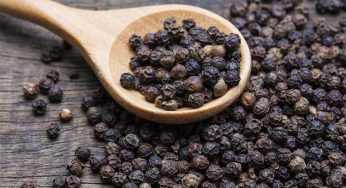 మిరియాల‌లో ఔష‌ధ గుణాలు బోలెడు.. వీటితో ఏయే వ్యాధుల‌ను త‌గ్గించుకోవ‌చ్చో తెలుసుకోండి..!