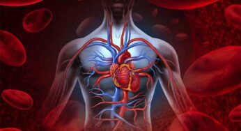 Blood Circulating : శ‌రీరంలో ర‌క్త స‌ర‌ఫ‌రా స‌రిగ్గా జ‌ర‌గ‌క‌పోతే ప్ర‌మాదం.. ఈ ల‌క్ష‌ణాలు ఉన్నాయేమో చూసుకోండి..!