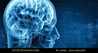 మెద‌డు ఎల్ల‌ప్పుడూ చురుగ్గా ఉండాలా ? అయితే ఈ సూచ‌న‌ల‌ను పాటించండి..!