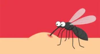 డెంగ్యూ వ‌చ్చి కోలుకుంటున్నారా ? ఈ ఆహారాల‌ను తీసుకుంటే త్వ‌ర‌గా కోలుకోవ‌చ్చు..!