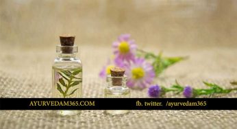 దోమ‌లు ఎక్కువ‌గా ఉన్నాయా ? ఇలా చేయండి.. దెబ్బ‌కు దోమ‌లు పారిపోతాయి..!