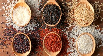 Rice: వైట్ రైస్‌, బ్రౌన్ రైస్‌, రెడ్ రైస్‌, బ్లాక్ రైస్‌.. వీటిల్లో ఏ రైస్ ఆరోగ్య‌క‌ర‌మైన‌ది ? తెలుసా ?
