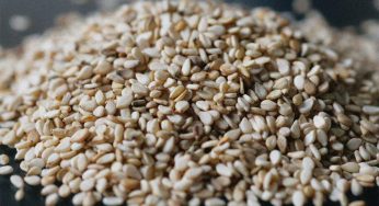 Sesame Seeds : చలికాలంలో నువ్వులను రోజూ తినాల్సిందే.. ఎందుకో తెలుసా..?