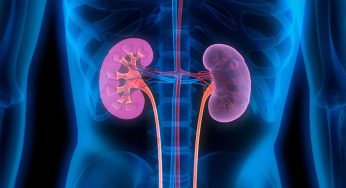 Kidneys Health : కిడ్నీలు ఫెయిల్ అవుతున్న వారిలో ఈ ల‌క్ష‌ణాలు క‌నిపిస్తాయి..!