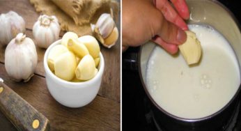 Garlic Milk : పాలలో రెండు వెల్లుల్లి రెబ్బలను వేసి మరిగించి తాగండి.. ఈ అద్భుతమైన ప్రయోజనాలను పొందవచ్చు..!