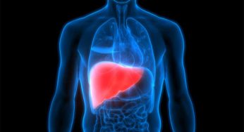 Liver Health : లివ‌ర్ చెడిపోతే ఎలాంటి ల‌క్ష‌ణాలు క‌నిపిస్తాయో తెలుసా..?