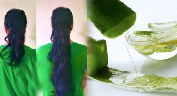 Hair Problems : కలబంద గుజ్జు ఒక్కటే.. జుట్టు సమస్యలన్నింటినీ తగ్గిస్తుంది..!