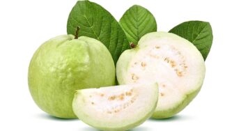Guava Seeds : జామ‌కాయ‌ల్లో ఉండే విత్త‌నాల‌ను తిన‌కూడ‌దా ? ప్ర‌మాద‌క‌ర‌మా ?