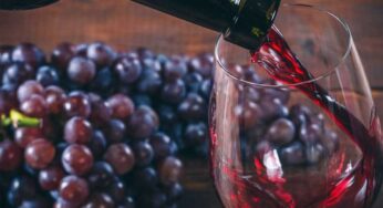 Red Wine : రోజూ రెడ్ వైన్‌ను తాగండి.. మీ ఆయుష్షును పెంచుకోండి.. ఇంకా అనేక లాభాలు క‌లుగుతాయి..!