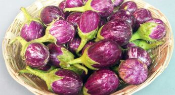 Brinjal : వంకాయ‌ల‌ను త‌ర‌చూ తినాల్సిందే.. ఎన్నో ప్ర‌యోజ‌నాల‌ను పొంద‌వ‌చ్చు..!