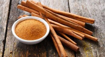 Cinnamon : దాల్చిన చెక్క‌తో ఈ 14 అనారోగ్య స‌మ‌స్య‌ల నుంచి బ‌య‌ట ప‌డ‌వ‌చ్చు.. ఎలా ఉప‌యోగించాలంటే..?