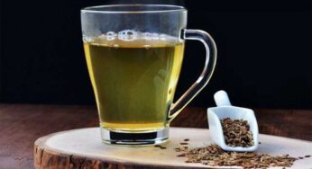 Fat : ఒక్క నెల రోజుల పాటు దీన్ని తాగండి.. శ‌రీరంలోని కొవ్వు మొత్తం క‌రిగిపోతుంది..!