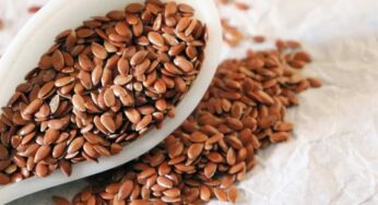 Flax Seeds : రోజూ గుప్పెడు అవిసె గింజ‌ల‌తో.. సంపూర్ణ ఆరోగ్యం..!