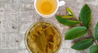 Guava Leaves Water : జామ ఆకుల నీళ్ల‌ను రోజూ తాగాల్సిందే.. ముఖ్యంగా పురుషులు త‌ప్ప‌క తీసుకోవాలి..!