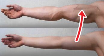 Hands Exercises : ఈ సుల‌భ‌మైన వ్యాయామాల‌ను చేయండి.. స‌న్న‌గా ఉండే చేతులు కండ‌లు తిరిగిన ఆకృతిలోకి మారుతాయి..!