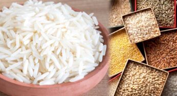 Rice : అన్నం తిన‌డం మానేద్దామ‌నుకుంటున్నారా ? అయితే వీటిని తినండి..!