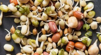 Sprouts : మొల‌కెత్తిన విత్త‌నాల‌ను ఏ స‌మ‌యంలో తింటే మంచిదో తెలుసా ?