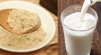Walnuts Powder Milk : రోజూ రాత్రి పాలలో రెండు టీస్పూన్లు ఇది కలిపి తాగితే.. పురుషుల్లో శరీర పుష్టి కలుగుతుంది..!