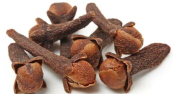 Cloves : రోజుకు ఒక్క ల‌వంగం.. ఇదొక అద్భుతం.. దీంట్లోని ప‌వ‌ర్ తెలిస్తే విడిచిపెట్ట‌రు..!