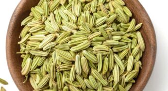 Fennel Seeds : గుండెకు అమృతంలా పనిచేసే సోంపు గింజ‌లు.. భోజ‌నం చేశాక తినాల్సిందే..!