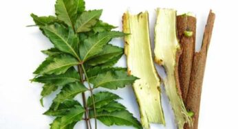 Neem Tree Bark : వేప చెట్టు బెర‌డుతో క‌రోనాకు చెక్‌.. సైంటిస్టుల అద్బుత ఆవిష్క‌ర‌ణ‌..!