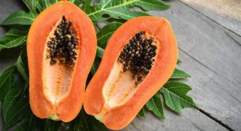 Papaya : బొప్పాయి పండును ఏ స‌మ‌యంలో తింటే అధికంగా లాభాలు క‌లుగుతాయో తెలుసా ?