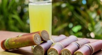 Sugarcane Juice : రోజూ ఒక గ్లాస్‌ చెరుకు రసం తాగడం వల్ల ఎన్ని అద్భుతమైన లాభాలు కలుగుతాయో తెలుసా ?