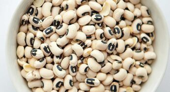Black-Eyed Peas : బొబ్బెర గింజ‌లు ఎంత బ‌ల‌మంటే.. చికెన్‌, మ‌ట‌న్ కూడా ప‌నికిరావు..!