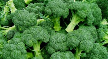 Broccoli : బ్రొకొలిని తీసుకోవ‌డం మ‌రిచిపోకండి.. అద్భుత‌మైన ప్ర‌యోజ‌నాలు క‌లుగుతాయి..!
