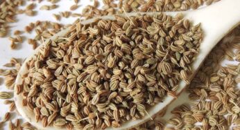 Carom Seeds : వాము గురించిన ఈ ముఖ్య‌మైన ర‌హ‌స్యం మీకు తెలుసా ? శ్వాస‌మార్గం మొత్తం శుభ్ర‌మ‌వుతుంది..!