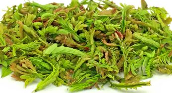 Chintha Chiguru : చింత చిగురుతో ప్ర‌యోజ‌నాలు అద్భుతం.. ఎక్క‌డ క‌నిపించినా సరే వ‌ద‌లొద్దు..!