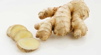 Ginger : అల్లంతో క‌లిగే 10 అద్భుత‌మైన ఉప‌యోగాలు ఇవే.. తీసుకోవ‌డం అస‌లు మ‌రిచిపోవ‌ద్దు..!