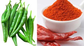 Chilli : పచ్చి మిరపకాయలు.. ఎండు కారం.. రెండింటిలో ఆరోగ్యానికి ఏది మంచిది..?