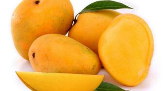 Mangoes : మామిడి పండ్ల‌ను రోజులో ఏ స‌మ‌యంలో తినాలి..? ఎప్పుడు తిన‌కూడ‌దు..?