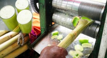 Sugarcane Juice : చెర‌కు ర‌సం తీసేవారు గ‌డ‌ల మ‌ధ్య‌లో నిమ్మ‌కాయ‌ల‌ను పెడ‌తారు.. ఎందుకో తెలుసా..?