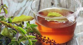 Tulsi Kashayam : తుల‌సి ఆకుల‌తో క‌షాయాన్ని ఇలా త‌యారు చేయండి.. ద‌గ్గు, జ‌లుబును వెంట‌నే త‌గ్గించే దివ్యౌష‌ధం..