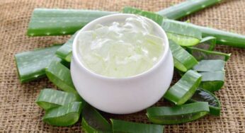 Aloe Vera Gel : క‌ల‌బంద గుజ్జు వ‌ల్ల ప్ర‌యోజ‌నాలు క‌లుగుతాయి స‌రే.. దీన్ని ఎలా ఉప‌యోగించాలంటే..?
