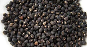 Black Gram : మినుముల‌ను త‌ప్ప‌నిస‌రిగా వారంలో రెండు సార్లు తినాల్సిందే.. ముఖ్యంగా పురుషులు..!