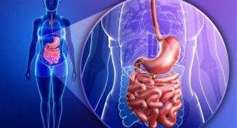 Health Tips : జీర్ణ‌వ్య‌వ‌స్థ‌ను పూర్తిగా శుభ్రం చేసుకోవాలంటే.. ఏం చేయాలి..?