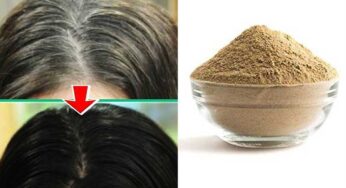 Hair Tips : తెల్ల జుట్టును న‌ల్ల‌గా మార్చుకునే చిట్కా.. ఇత‌ర జుట్టు స‌మ‌స్యలు కూడా ఉండ‌వు..!