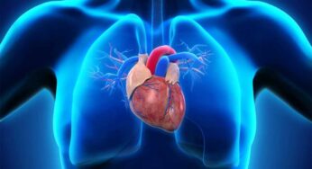 Heart Beat : భోజ‌నం చేసిన త‌రువాత గుండె వేగంగా కొట్టుకుంటుందా ? అయితే అందుకు కార‌ణం ఇదే..!