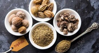 Triphala Churnam : స‌కల రోగాల‌ను హ‌రించే అద్భుత‌మైన ఔష‌ధం.. త్రిఫ‌ల చూర్ణం..!