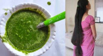 Hair Fall : దీన్ని వాడితే.. జుట్టు అస‌లు రాల‌దు.. దృఢంగా పెరుగుతుంది..!