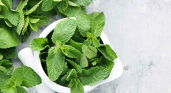 Mint Leaves : పుదీనాతో ఇలా చేస్తే.. జుట్టు బ‌లంగా త‌యారై.. పొడ‌వుగా పెరుగుతుంది..!